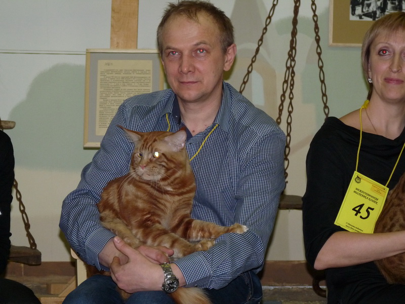 800 x 600 800 x 600 800 x 600 800 x 600 800 x 600 Питомник Мейн-кунов 'Аctus Рurus'. Ласковые ГИГАНТЫ.