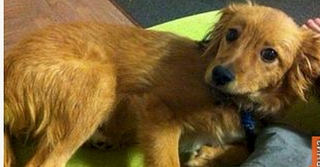 1198 X 626 424.0 Kb 1920 X 1440 116.6 Kb 1920 X 1440 224.8 Kb 1920 X 1440 118.0 Kb   !