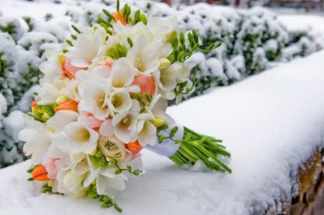 https://izhevsk.ru/forums/icons/forum_pictures/010127/10127573.jpg