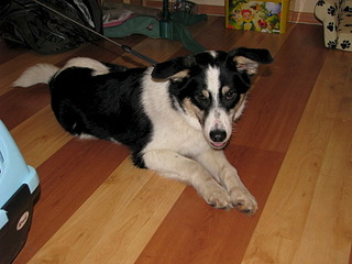 1920 X 1440 592.4 Kb 1920 X 2560 1002.2 Kb   .     