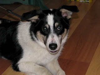 1920 X 1440 647.9 Kb 1920 X 1440 592.4 Kb 1920 X 2560 1002.2 Kb   .     