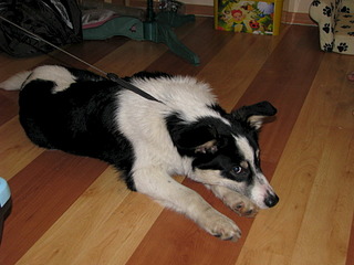 1920 X 1440 586.6 Kb 1920 X 1440 647.9 Kb 1920 X 1440 592.4 Kb 1920 X 2560 1002.2 Kb   .     