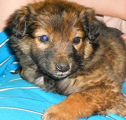 673 X 642 267.9 Kb 686 X 614 241.0 Kb 1,5  