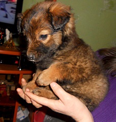 567 X 596 155.4 Kb 673 X 642 267.9 Kb 686 X 614 241.0 Kb 1,5  