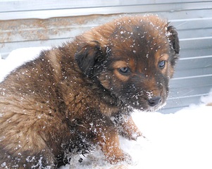 941 X 749 300.4 Kb 685 X 667 325.5 Kb 567 X 596 155.4 Kb 673 X 642 267.9 Kb 686 X 614 241.0 Kb 1,5  