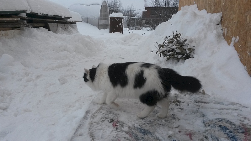 1920 X 1080 572.6 Kb    