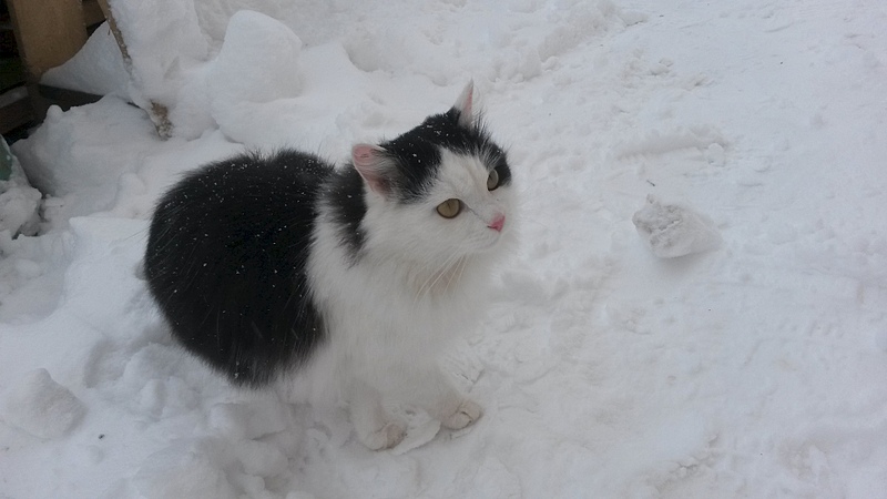 1920 X 1080 459.6 Kb 1920 X 1080 572.6 Kb    