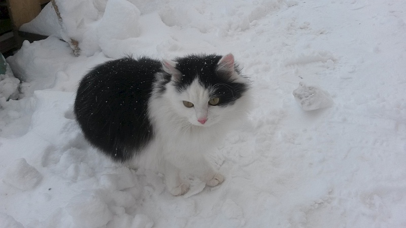 1920 X 1080 453.8 Kb 1920 X 1080 735.3 Kb 1920 X 1080 465.9 Kb 1920 X 1080 459.6 Kb 1920 X 1080 572.6 Kb    