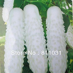 800 X 800  95.8 Kb .   ?