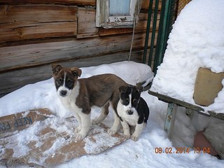 604 X 453 58.0 Kb 604 X 453 56.2 Kb   