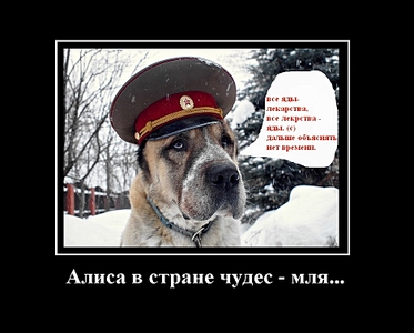 940 X 755 259.9 Kb Антибиотикотерапия - вакцинопрофилактика!