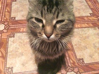 1920 X 1434 622.7 Kb  )