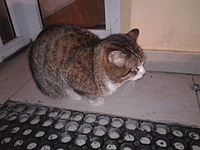 1920 X 1440 550.2 Kb 1920 X 2560 280.5 Kb 1920 X 2560 234.6 Kb 1920 X 2560 319.6 Kb 1920 X 2560 212.5 Kb  ?  