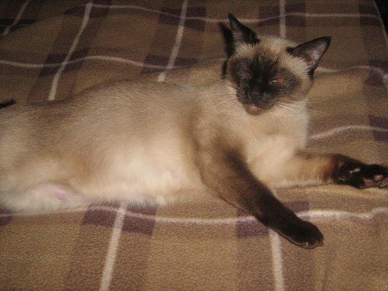 1920 X 1440 941.5 Kb    