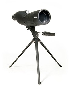 523 X 700 96.8 Kb      )