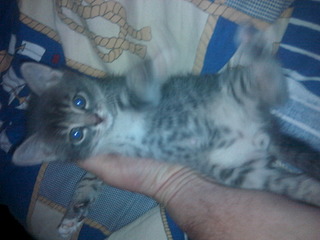 1920 X 1440 556.9 Kb      ,  