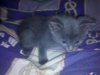 1920 X 1440 611.5 Kb 1920 X 1440 556.9 Kb      ,  