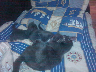 1920 X 1440 1015.7 Kb 1920 X 1440 864.6 Kb 1920 X 1440 611.5 Kb 1920 X 1440 556.9 Kb      ,  