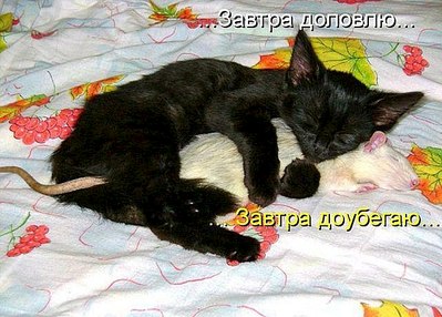 604 X 433  71.6 Kb Улыбнемся?