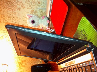 1920 X 1434 623.0 Kb 1920 X 1434 784.8 Kb ������ ������� ������� RoberBook Pro 200 �� ���. �����