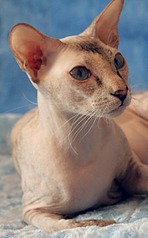 1403 X 2264 169.2 Kb  -  ()