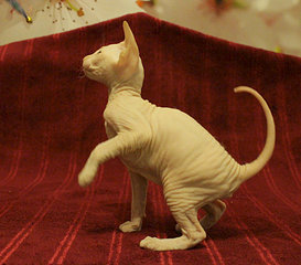 1920 X 1687 588.7 Kb 1920 X 2071 697.1 Kb 1920 X 2282 770.6 Kb 1403 X 2264 169.2 Kb  -  ()