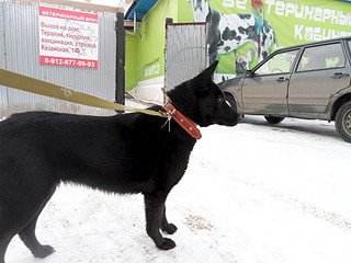 1920 X 1440 497.4 Kb  -  !