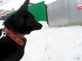 1920 X 1440 126.8 Kb  -  !