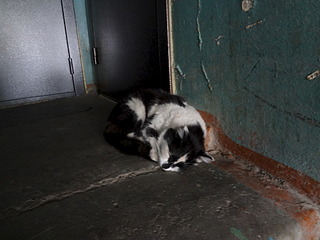 1920 X 1440 520.3 Kb ��� � ����� � ������ ����!