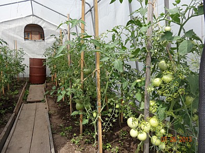 800 X 600 239.3 Kb 800 X 600 200.6 Kb 151 x 99    -  !