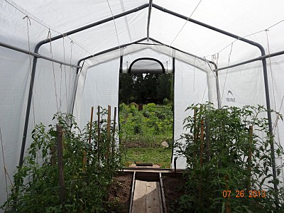 800 X 600 192.1 Kb 800 X 600 219.8 Kb    -  !