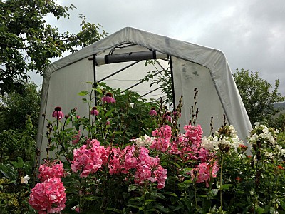 800 X 600 186.7 Kb 800 X 600 192.1 Kb 800 X 600 219.8 Kb    -  !