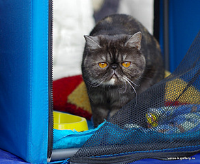 750 X 614 165.1 Kb  . .