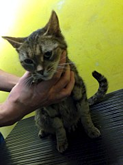 720 X 960 101.9 Kb 720 X 960 123.3 Kb       !