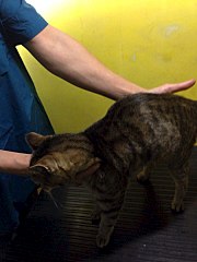 720 X 960  88.1 Kb 720 X 960 101.9 Kb 720 X 960 123.3 Kb       !