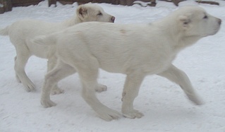 1920 X 1123 462.6 Kb 1920 X 1523 770.8 Kb    