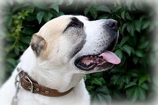 750 X 498 114.2 Kb 212 x 150 336 X 425 40.7 Kb    