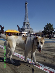 1920 X 2560 377.8 Kb 750 X 498 114.2 Kb 212 x 150 336 X 425 40.7 Kb    