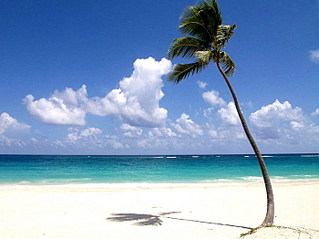 699 X 524  65.4 Kb 655-303 |   | www.akvarel18.ru |   !