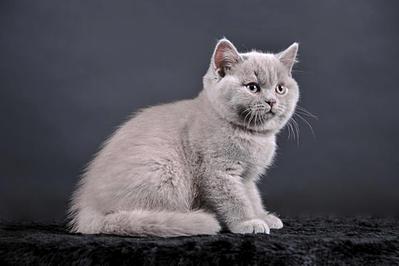 1024 X 681 55.7 Kb 1024 X 681 57.1 Kb 