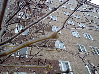 1600 X 1200 621.9 Kb Крутой КУРЯТНИК