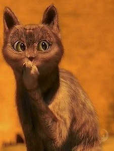 324 X 430 27.3 Kb 12.02.2014 � �������� ��� ������ ������ ����� �������� � ���