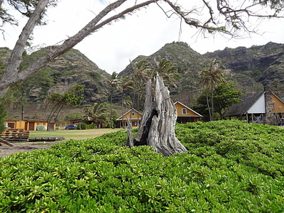 1920 X 1440 497.0 Kb     12- .