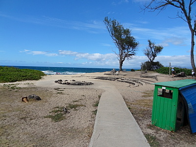 1920 X 1440 834.4 Kb     12- .