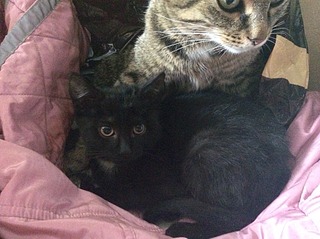 1920 X 1434 654.0 Kb  .