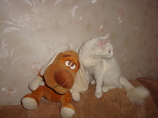 1920 X 1440 948.8 Kb 1920 X 1440 987.4 Kb      !