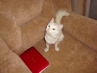 1920 X 1440 1018.9 Kb 1920 X 1440 951.5 Kb      !