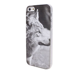 500 X 500  17.8 Kb 500 X 500  21.2 Kb 500 X 333  20.5 Kb  