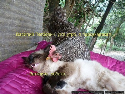 600 X 449 92.6 Kb Улыбнемся?
