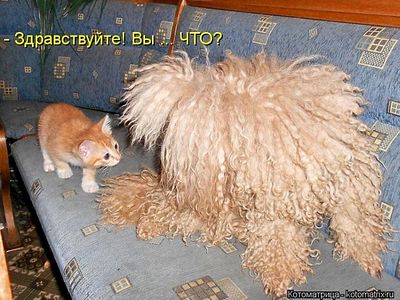 700 X 525 85.0 Kb Улыбнемся?